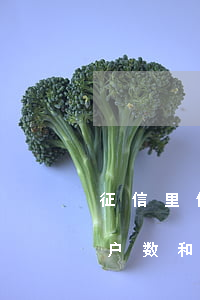 征信里信用卡逾期月份数是什么(征信逾期账户数和月份数)