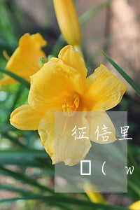 征信里有網(wǎng)貸逾期 征信有逾期網(wǎng)貸還能不能下款