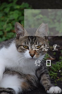 征信里有逾期（征信逾期有資產(chǎn)行嗎）
