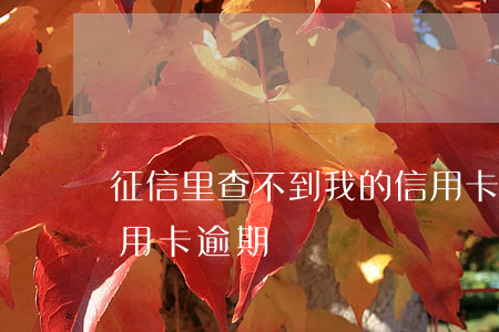 征信里查不到我的信用卡逾期(征信記錄有信用卡逾期)
