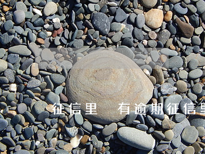征信里沒有逾期 征信里沒有逾期