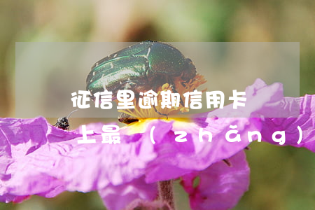 征信里逾期信用卡賬戶數(shù)5 征信上最長(zhǎng)逾期月數(shù)什么意思