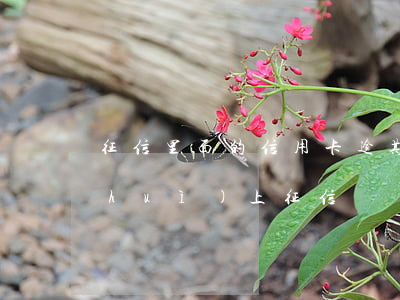 征信里面的信用卡逾期(信用卡顯示逾期會(huì)上征信嗎)