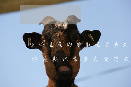 征信里面的逾期记录多久会消失-征信里面的逾期记录多久会消失啊