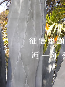 征信里顯示近一年有30天逾期（征信里顯示近一年有30天逾期）
