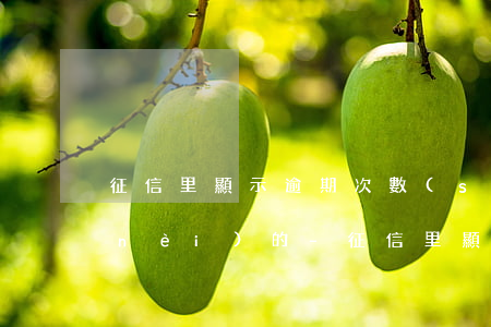 征信里顯示逾期次數(shù)是幾年內(nèi)的-征信里顯示逾期次數(shù)是幾年內(nèi)的記錄