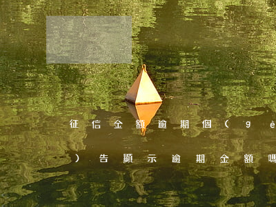 征信金額逾期(個(gè)人征信報(bào)告顯示逾期金額嗎)