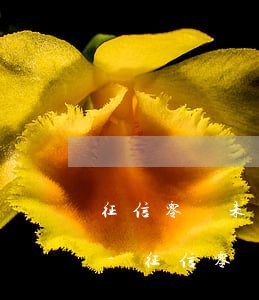 征信零筆未結(jié)清為什么還有逾期-征信零筆未結(jié)清為什么還有逾期記錄