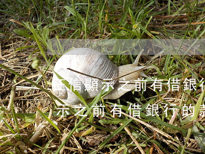 征信顯示之前有借銀行的款逾期了-征信顯示之前有借銀行的款逾期了怎么辦
