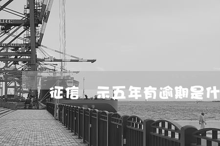 征信顯示五年有逾期是什么意思-