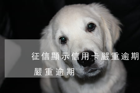 征信顯示信用卡嚴重逾期嗎（征信顯示信用卡嚴重逾期）