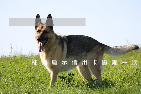 征信顯示信用卡逾期一次影響