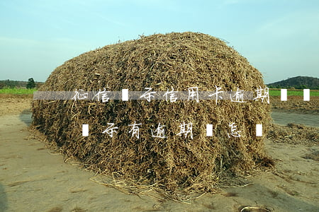 征信顯示信用卡逾期記錄怎么辦(征信報告上顯示有逾期會怎樣)