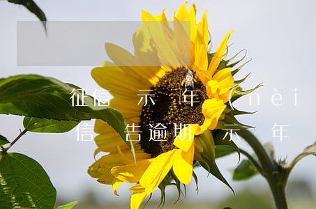 征信顯示幾年內(nèi)的信用卡逾期(征信報告逾期顯示幾年)