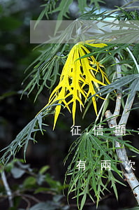 征信顯示有2次網(wǎng)貸逾期(征信有兩次逾期)