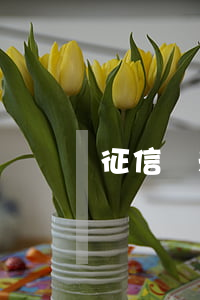 征信顯示有貸款逾期(征信報告顯示逾期)
