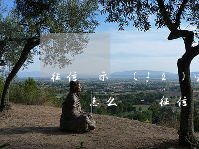征信顯示發(fā)生過(guò)逾期的賬戶怎么辦-征信顯示發(fā)生過(guò)逾期的賬戶怎么辦?