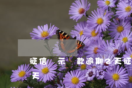 征信顯示貸款逾期2天(征信顯示貸款逾期2天)