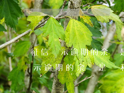 征信顯示逾期的余額是連利息的嗎-征信顯示逾期的余額是連利息的嗎怎么辦