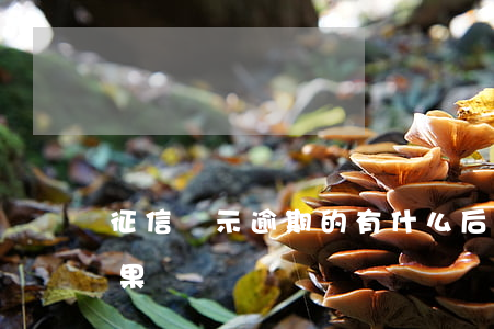 征信顯示逾期的有什么后果(逾期上征信的后果)