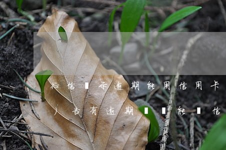 征信顯示逾期能用信用卡嗎(征信報(bào)告有逾期記錄能辦信用卡嗎)