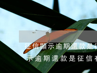 征信顯示逾期還款是征信有問題嗎-征信顯示逾期還款是征信有問題嗎怎么辦