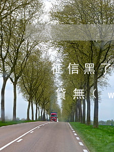 征信黑了怎么辦(我欠了好多網(wǎng)貸無(wú)力償還怎么辦)