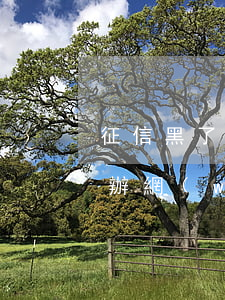 征信黑了欠了網(wǎng)貸5萬多怎么辦(網(wǎng)貸沒還征信黑了5年后怎么處理)