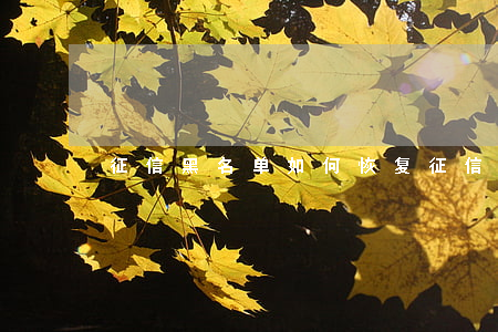 征信黑名单如何恢复(征信黑名单怎么恢复)