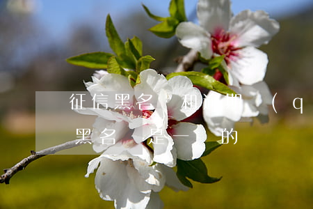 征信黑名單和逾期區(qū)別(征信逾期和黑名單是一樣的嗎)