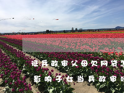 征兵政审父母欠网贷怎么办(父母征信逾期,会影响子女当兵政审吗)