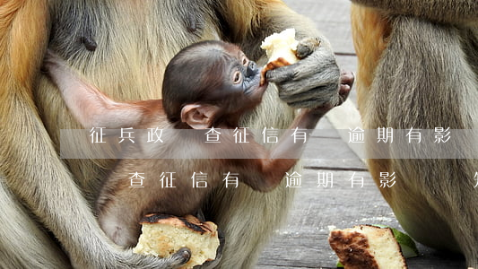 征兵政審查征信有過逾期有影響嗎-征兵政審查征信有過逾期有影響嗎知乎