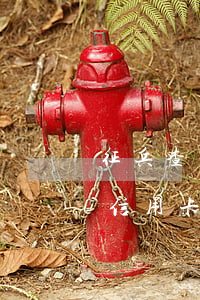 征兵查不查父母信用卡逾期(征兵查不查父母信用卡逾期)