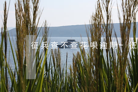 征兵查不查花唄逾期-征兵查不查征信