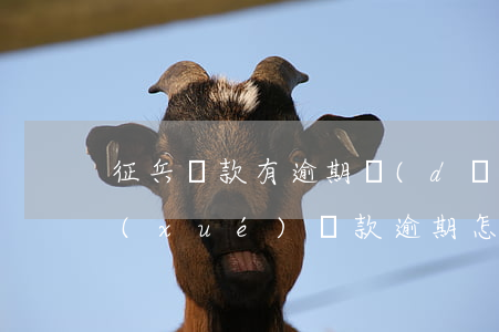 征兵貸款有逾期(當(dāng)兵期間助學(xué)貸款逾期怎么辦)
