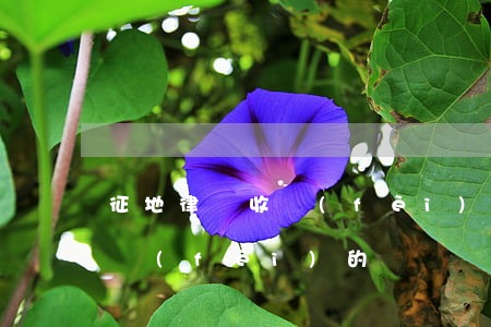 征地律師收費(fèi)(征地律師是怎么收費(fèi)的)
