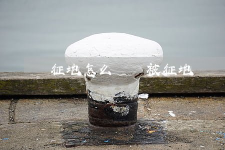 征地怎么補償(被征地補償)