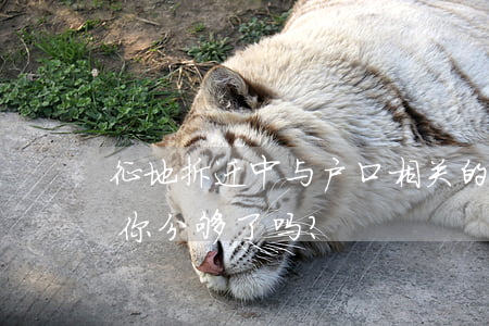征地拆迁中与户口相关的补偿有这些，看看给你分够了吗？
