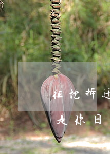 征地拆迁过程中的证据一定要收集好！这些都是你日后维权的有力武器！