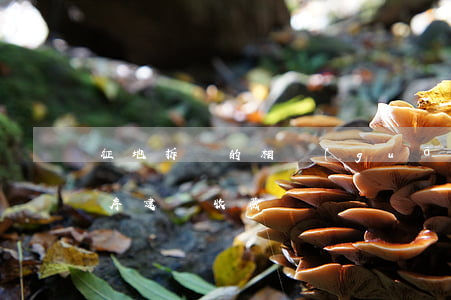 征地拆遷的相關(guān)法律和法定程序，建議收藏！