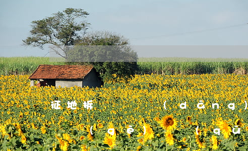 征地拆遷糾紛當(dāng)事人常陷入的幾個(gè)誤區(qū)（上）