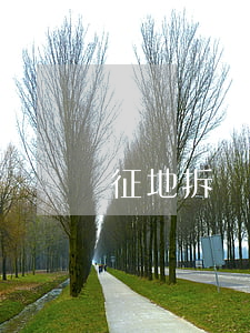 征地拆遷聽證程序有哪些內(nèi)容