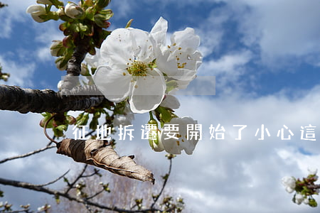 征地拆遷要開始了，小心這些上門勸簽的手段