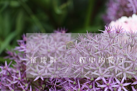 征地拆遷過程中的“防守”與“反擊”