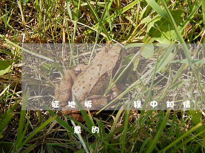 征地拆遷過程中，知情權有保障才能拿到合理滿意的補償！
