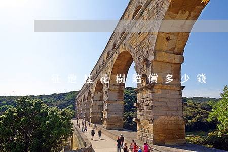 征地桂花樹賠償多少錢