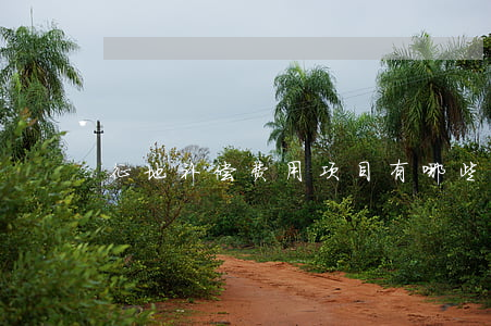 征地补偿费用项目有哪些,补偿如何管理