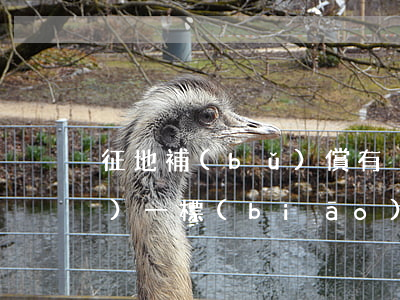 征地補(bǔ)償有沒有全國統(tǒng)一標(biāo)準(zhǔn)