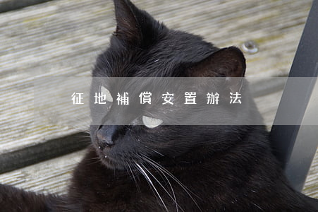 征地補償安置辦法