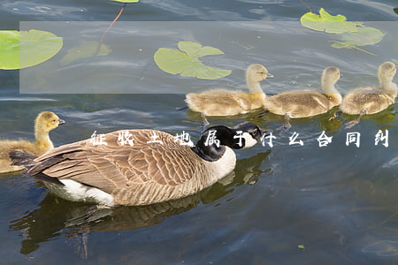 征收土地属于什么合同纠纷